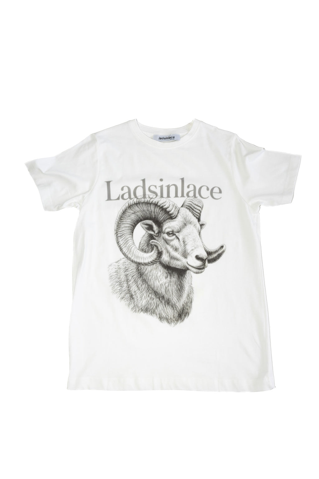 Aries tee
