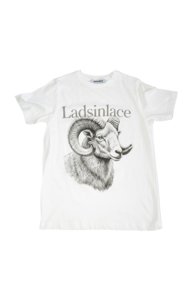 Aries tee